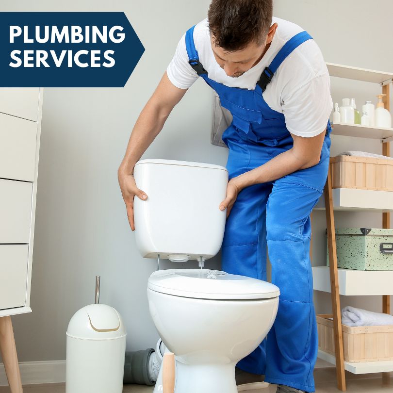 Plumbing Company in Mesa, AZ
